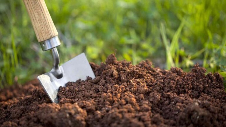 Organic Soil Amendments To Enhance Your Farm